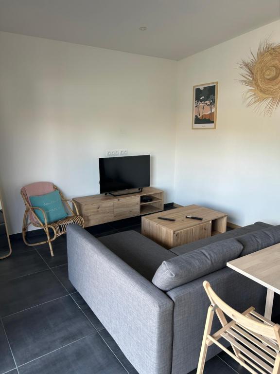 a living room with a couch and a tv at Petite maison Dépendance SOUSTONS in Soustons