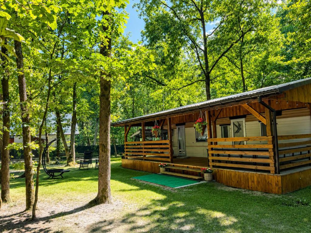 a cabin in the woods with a tree at Chatka w środku lasu in Czerwona Wola