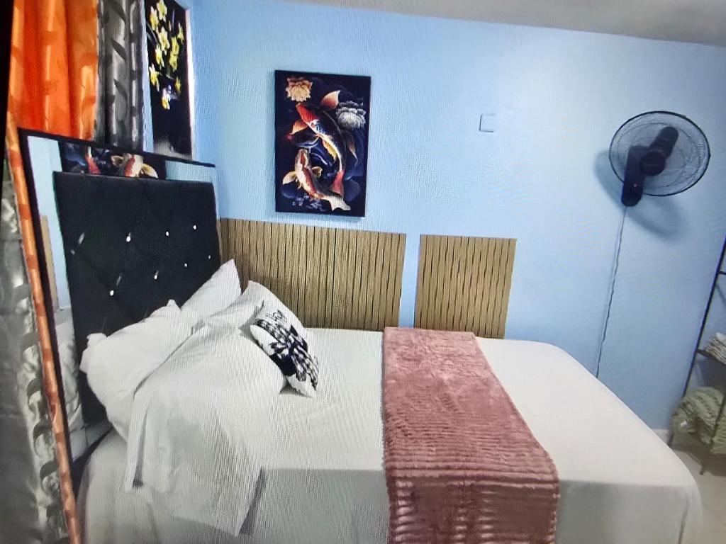a bedroom with a bed and a blue wall at BW Hideaway in Portmore