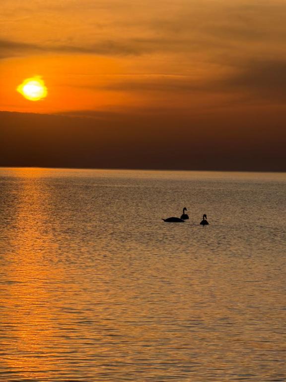 two people on a boat in the ocean at sunset at Apartament Sosnowy 45 in Rowy