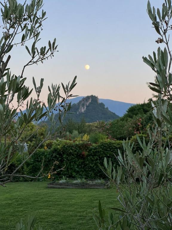 a green field with a mountain in the background at Ophidia in Foix