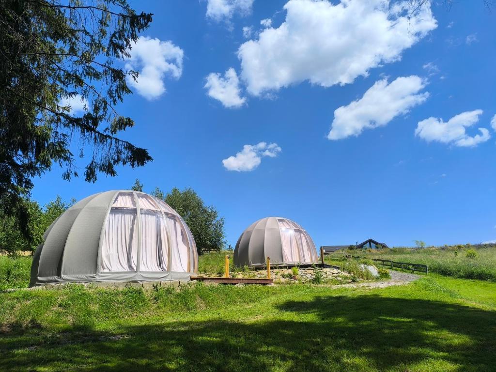 two domes in a field under a blue sky at Glamp Zielone Skałki in Kluszkowce