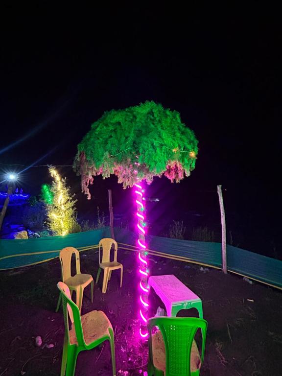 two chairs and a tree with lights on it at Kishan Ganga Camping Site in Wāmpor