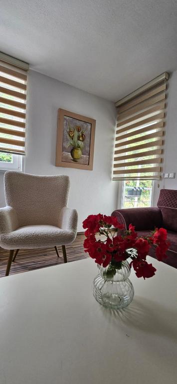 a living room with a vase of red flowers on a table at Nadia's home in Ilidža