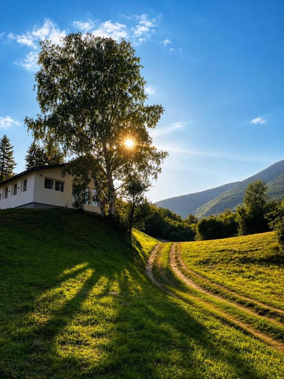 a house on a hill with a tree and a dirt road at Apaurin Lodge - Peacful Nature Escape near Bosnian Pyramids in Visoko
