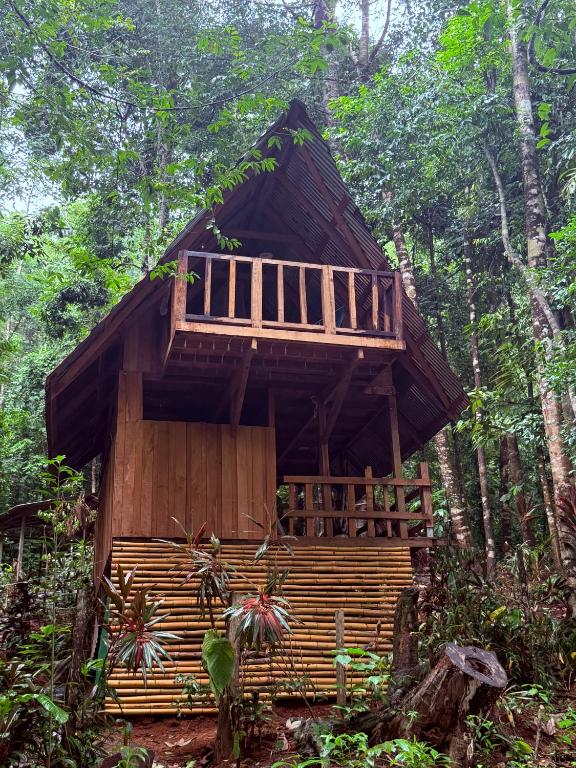 a tree house in the middle of the forest at Entire Jungle Chalet Playa Ganadito in Drake