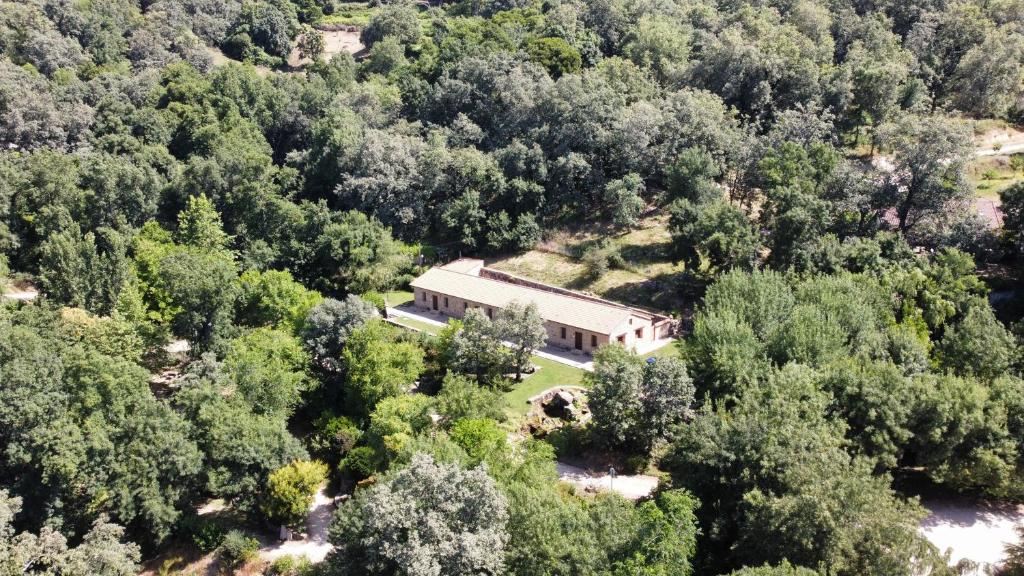 an aerial view of a house in the middle of a forest at Apartamentos El Escondite de Pedro Malillo in Candeleda