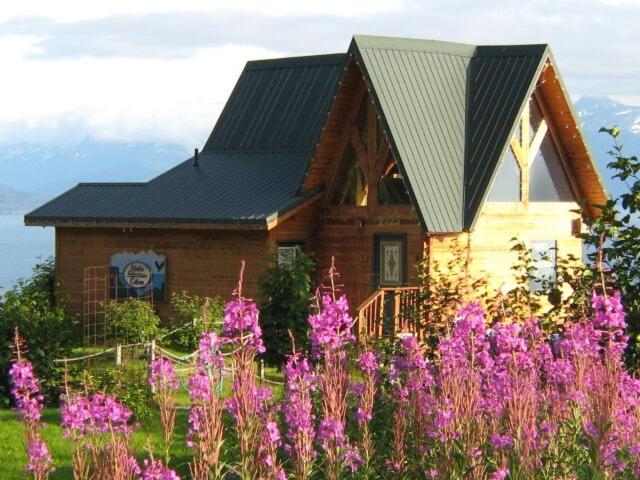 Alaska Adventure Cabins - Error