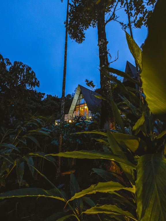 a house in the middle of a field of plants at Vagamon leafmist frame cabin in Vagamon