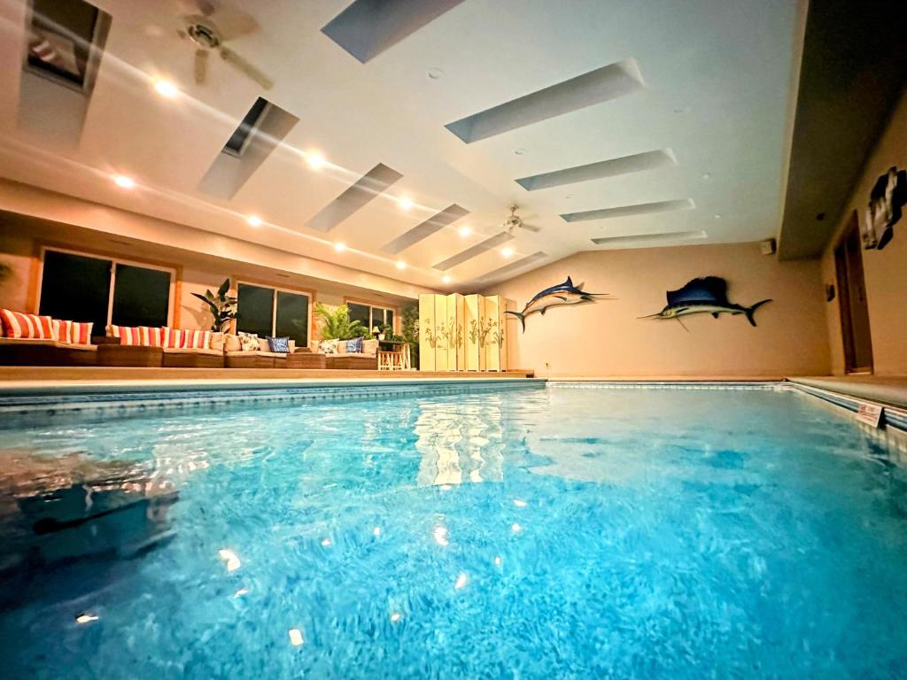 an indoor swimming pool with dolphins on the wall at TnTBnB in Combined Locks