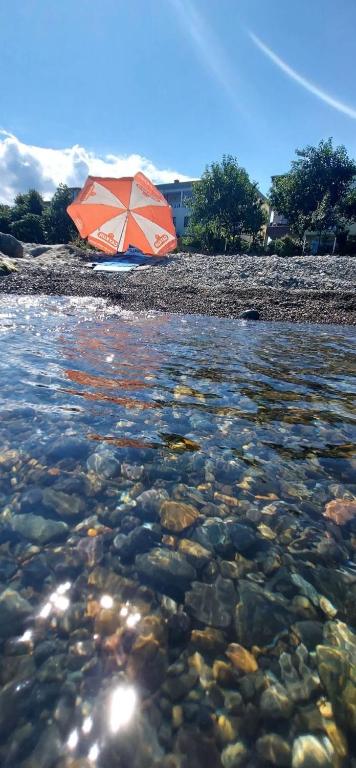 Seafront Apartment Rize - Ardeşen - Error