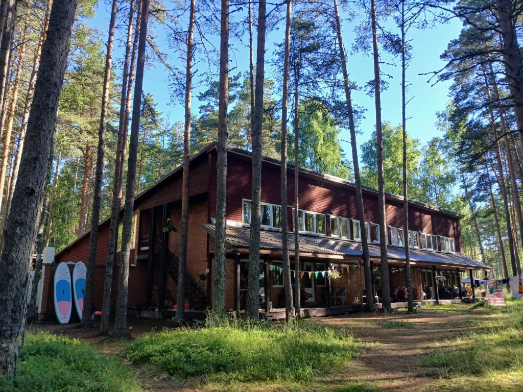a wooden cabin in the woods with trees at Männi puhkebaas in Karjamaa