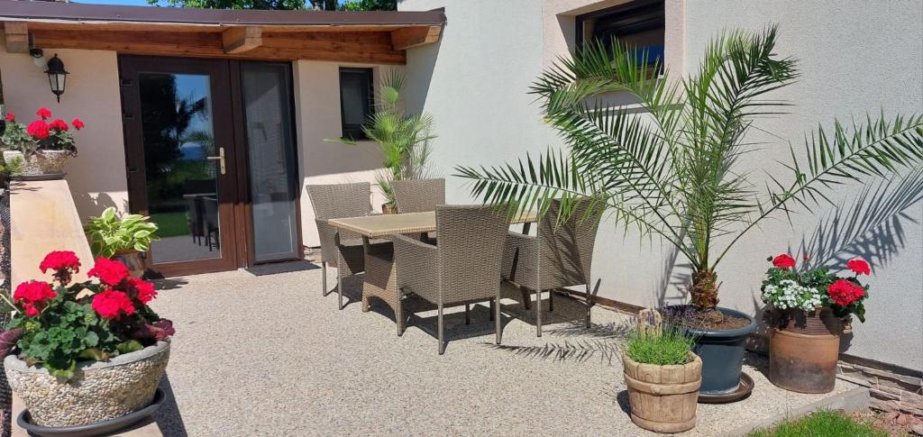 a patio with a table and chairs and potted plants at Apartmán U Lípy Janovičky in Heřmánkovice