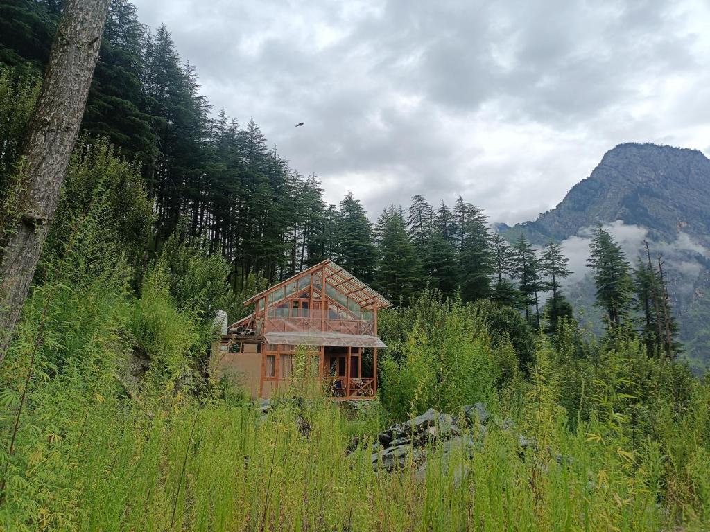 a small wooden house in the middle of a forest at Cedar Forest BnB Villa in Kasol
