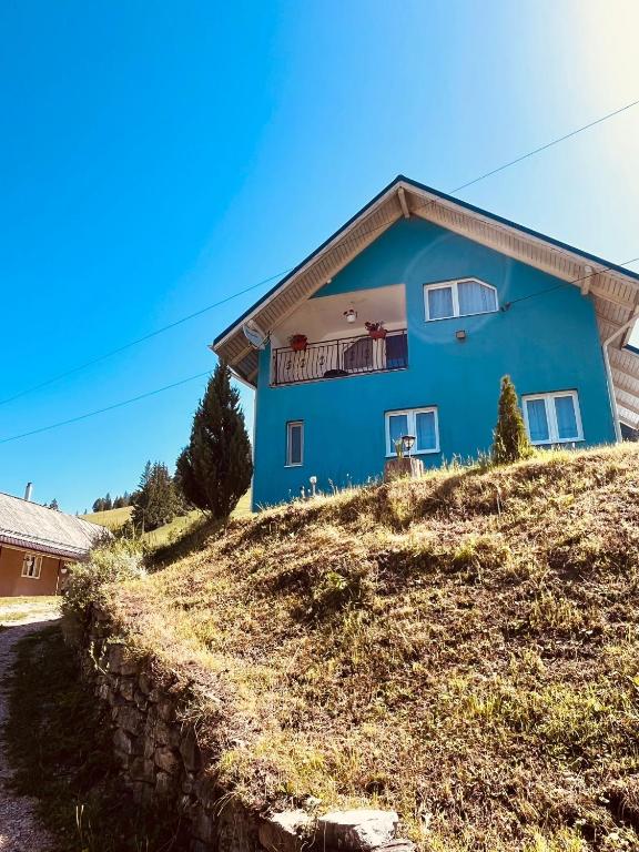 a blue house on top of a hill at Casa Butunoi in Dămuc