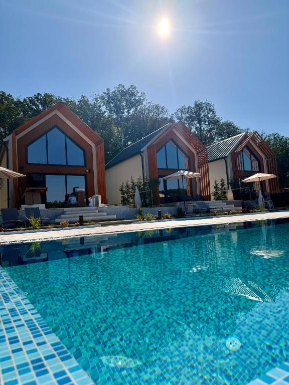 a swimming pool in front of a house at Panoramic House Baile Felix C2 in Baile Felix
