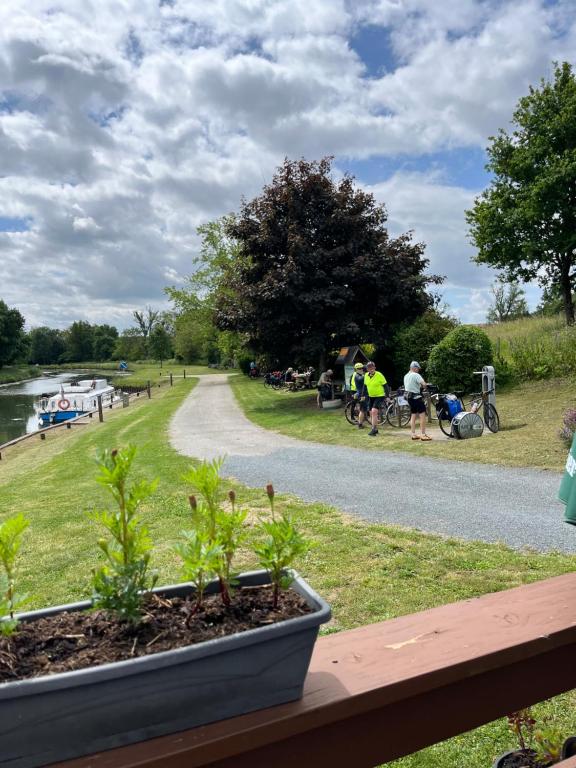 a view of a river with people riding bikes on a road at Les cabane in Fleury-sur-Loire