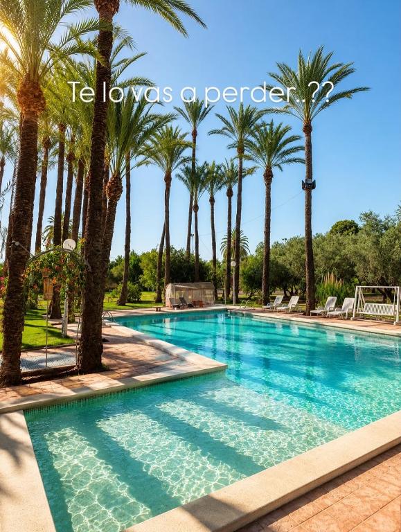 a swimming pool with palm trees in the background at Pink Lemon House in Elche