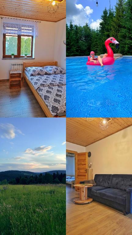 a collage of four pictures of a house with a pool at Leśny Dwór Bieszczady in Ustrzyki Dolne