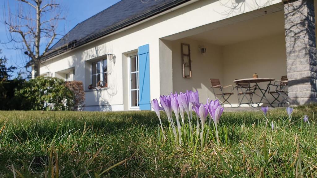 Ferienhaus Hummel-Nest - 
