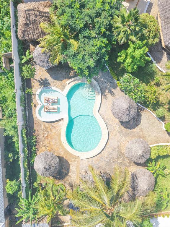 an overhead view of a swimming pool in a resort at Mawimbi Bungalows in Nungwi
