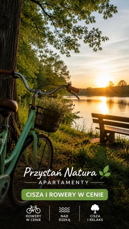 a bike parked next to a tree next to a bench at Przystań Natura Apartamenty nad rzeką, cisza i rowery in Iława