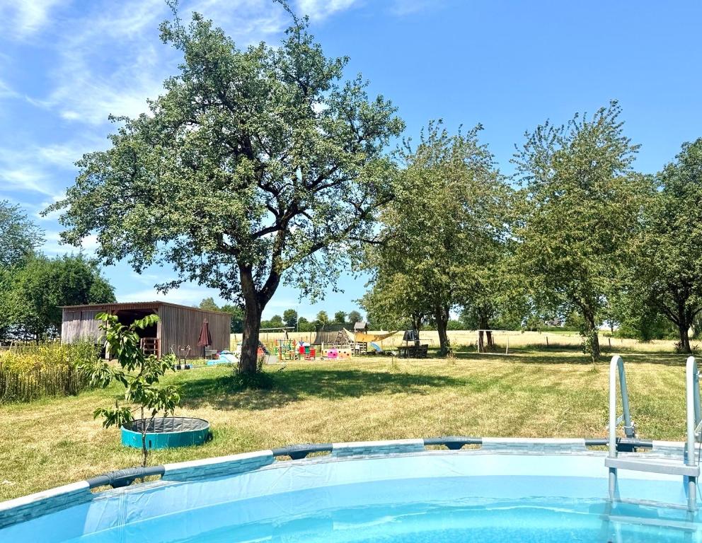 a swimming pool with a tree in the background at Eifel-Apartments Orsfeld in Orsfeld