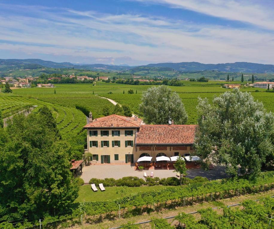 an aerial view of a house in a vineyard at Domus Cariana in San Pietro in Cariano