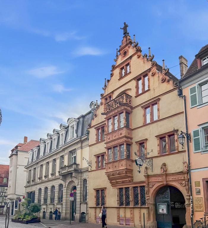 T2 rénové Cœur historique de Colmar – photo 28