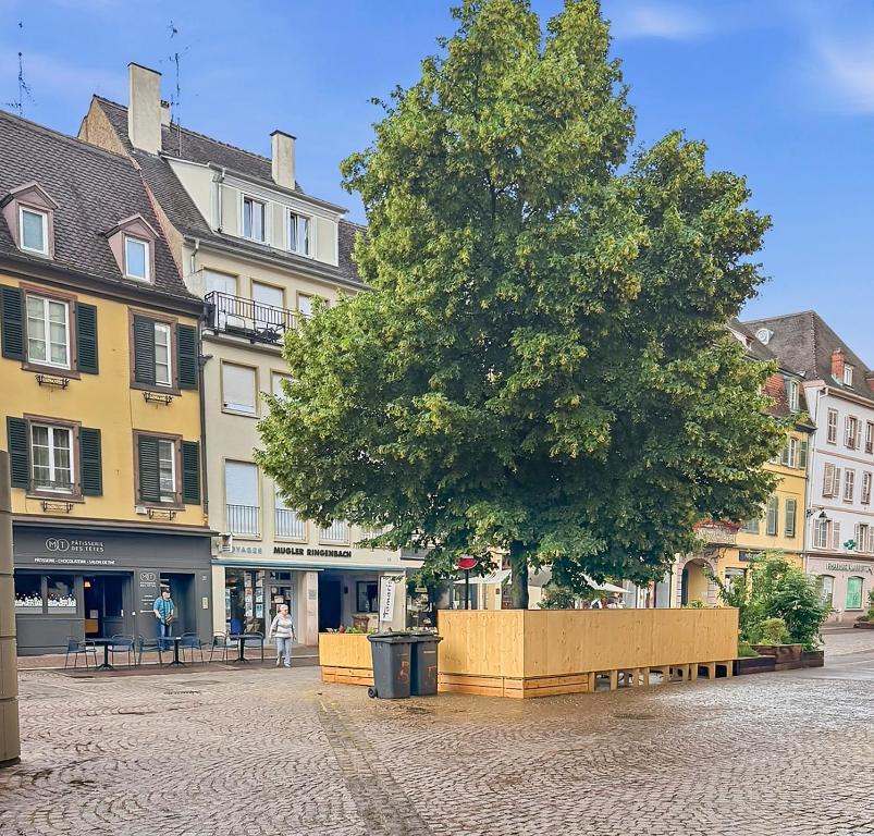 T2 rénové Cœur historique de Colmar – photo 29