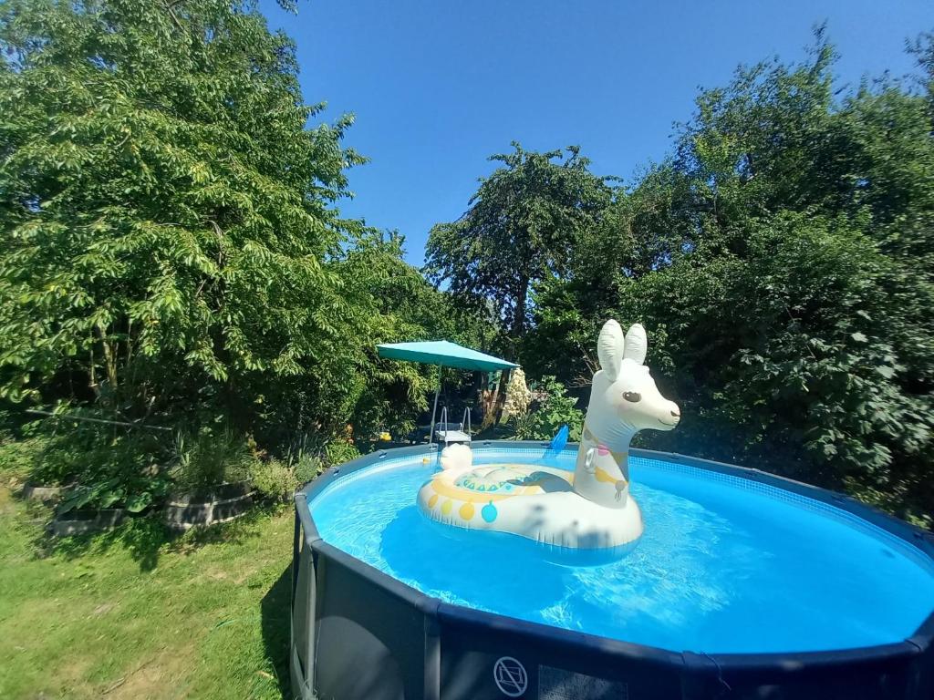 a inflatable rabbit in a pool in a park at Toplocatie voor je workshop! Of grote gezin! Zwembad! in Hurwenen