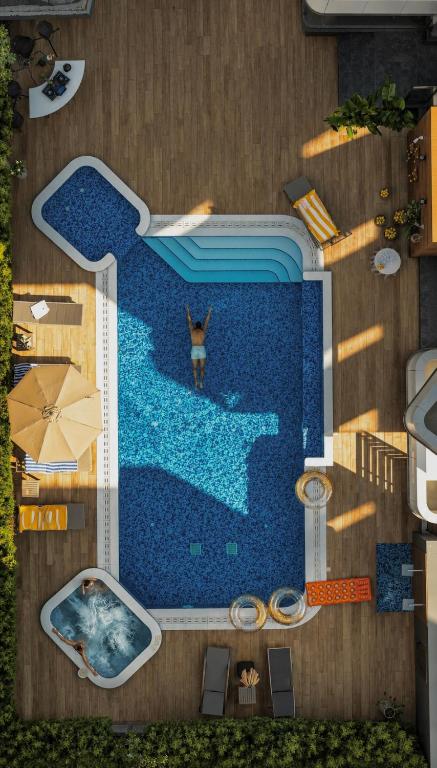 an overhead view of a pool with a dog in the water at 26 Suites in Limassol