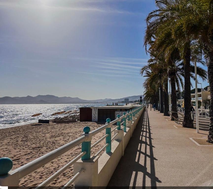 Cannes situation idéale