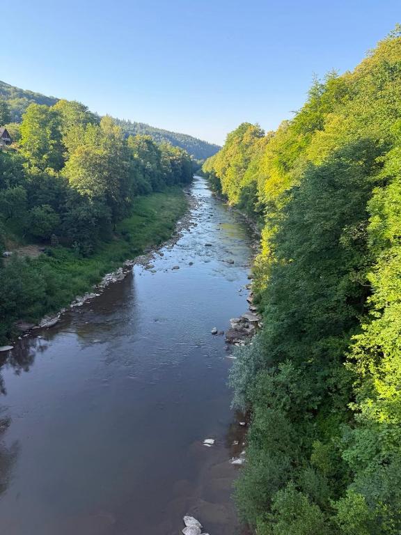 an aerial view of a river with trees at Hotel palas tatariv in Tatariv