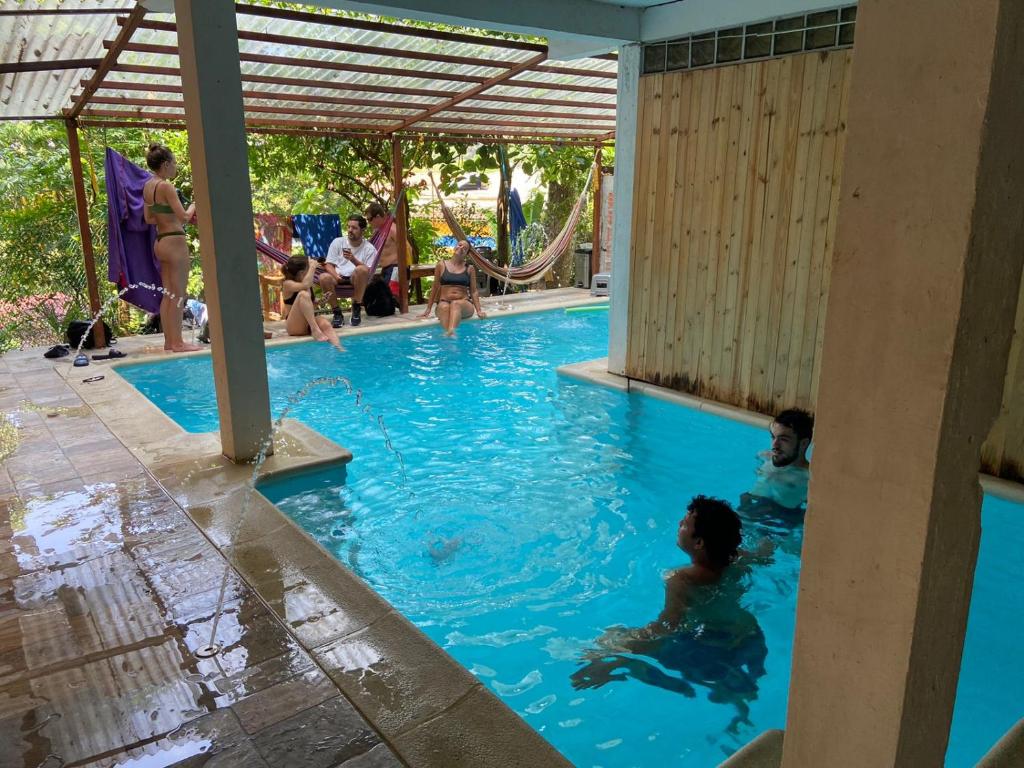 a group of people swimming in a swimming pool at Hostal CASA COLIBRI MINCA in Minca