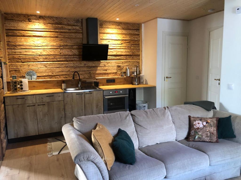 a living room with a couch and a kitchen at Rohu Külaliskorter vanalinnas in Kuressaare