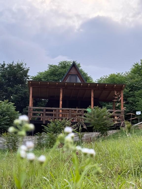 a cabin in a field with flowers in front of it at Horizon Racha in Ambrolauri