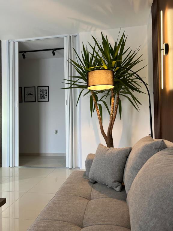 ein Wohnzimmer mit Sofa und Pflanze in der Unterkunft LiboroView in Niš