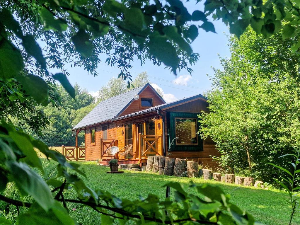 a wooden cabin in the middle of a grass field at Szalejówka Domki in Kłodzko