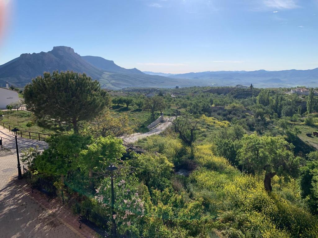 Wild Ivy House with Valley Views - Housity