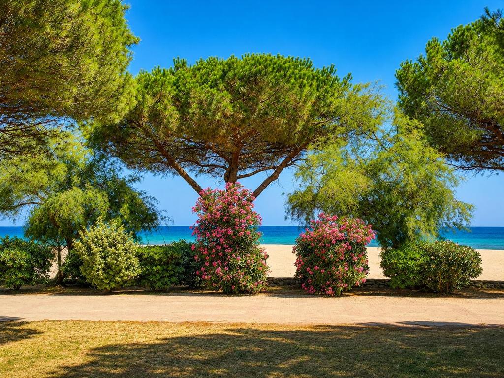 a park with flowers and trees on the beach at Studio avec jardin front de mer in Argelès-sur-Mer