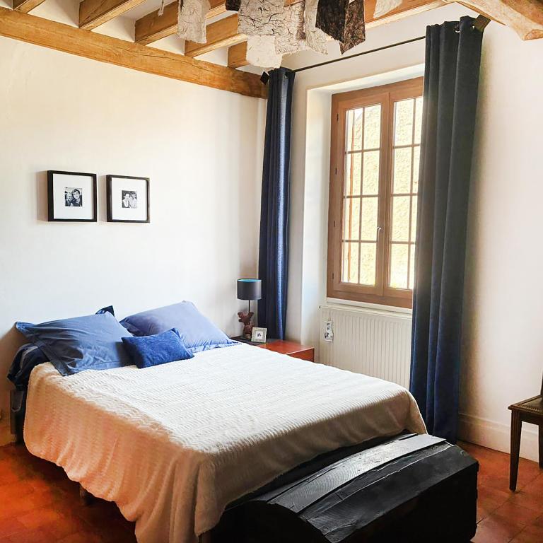 a bedroom with a large bed with blue pillows at La savignacoise in Savigny-en-Sancerre