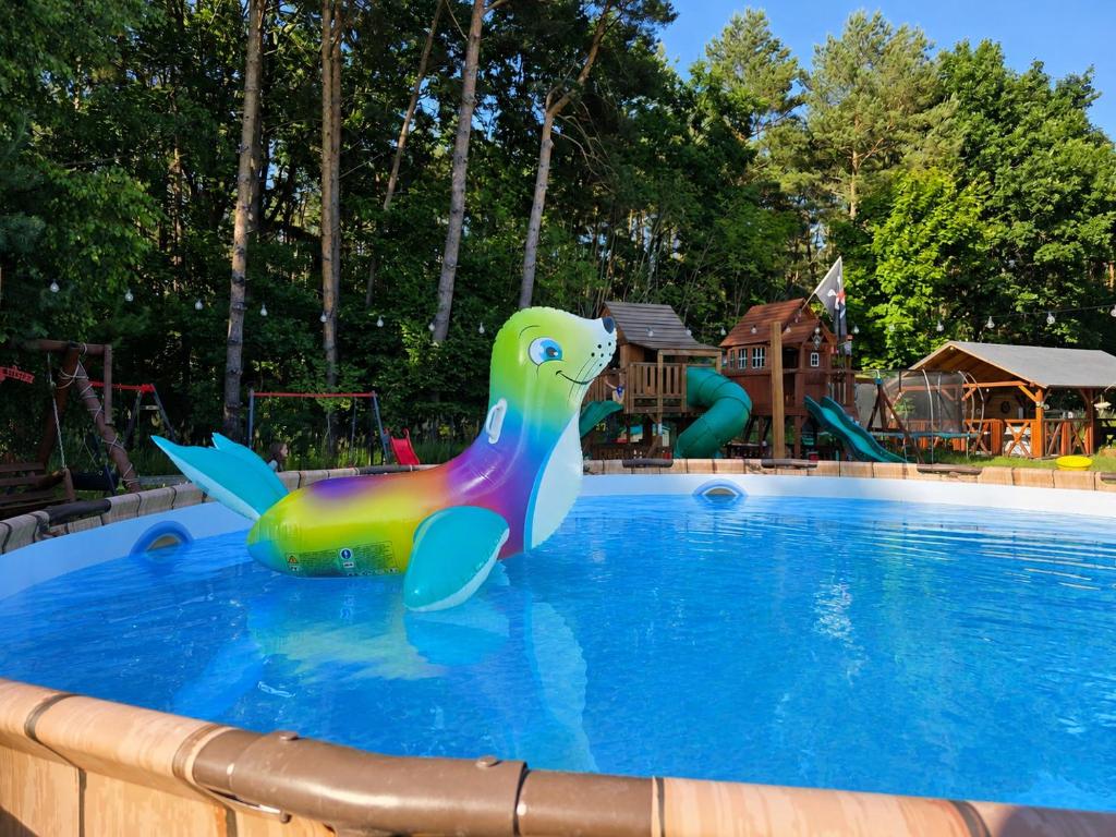 a swimming pool with a toy dinosaur in the water at Kurdybanek - Domki letniskowe in Stegna