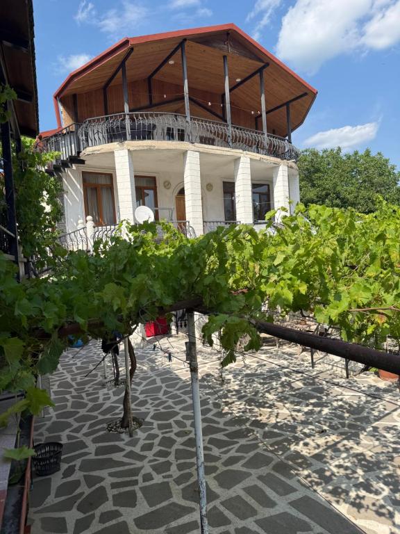 a building with a bunch of vines in front of it at Home in Mtskheta in Mtskheta