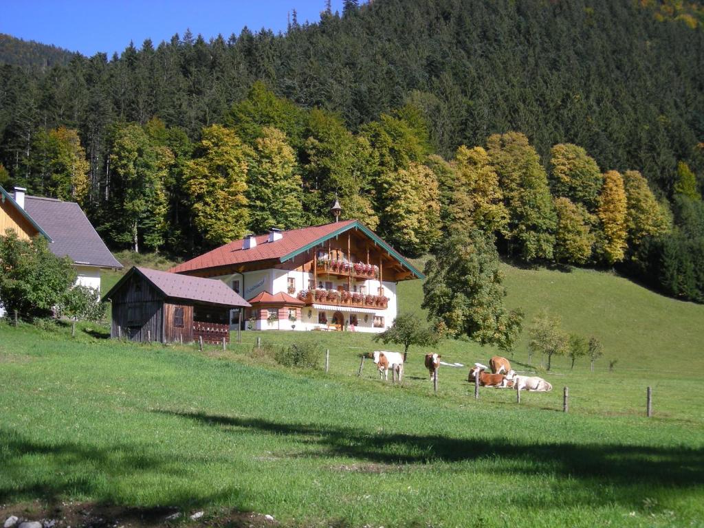 Příroda nedaleko apartmánu