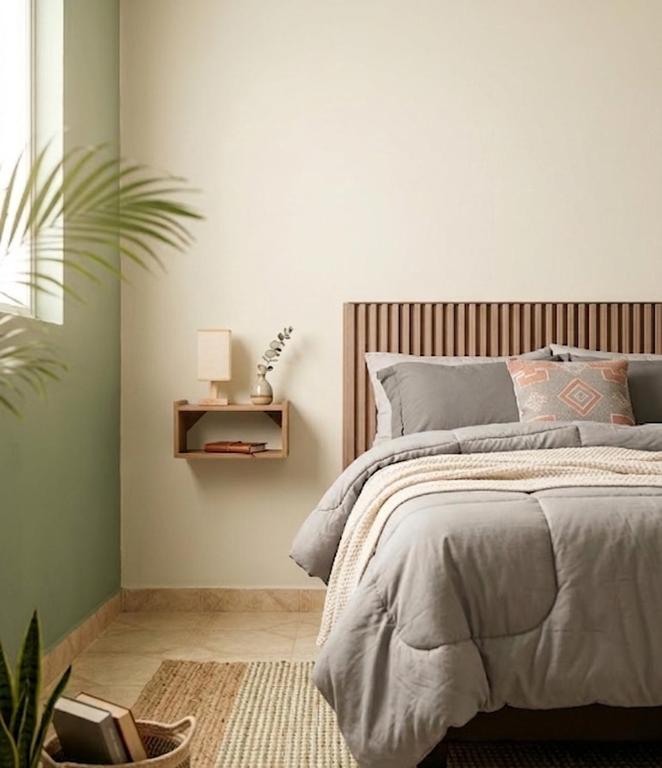 a bedroom with a bed and a plant at Hospedaje Daki in Zacatlán