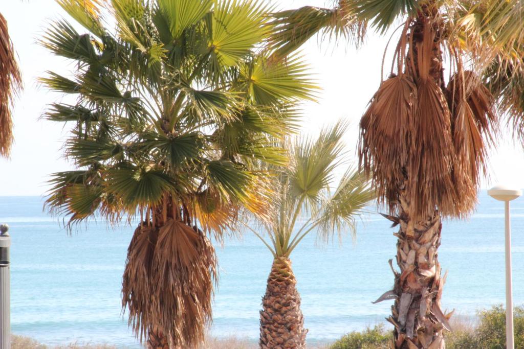 ibis budget Alicante, Alicante – Updated 2023 Prices