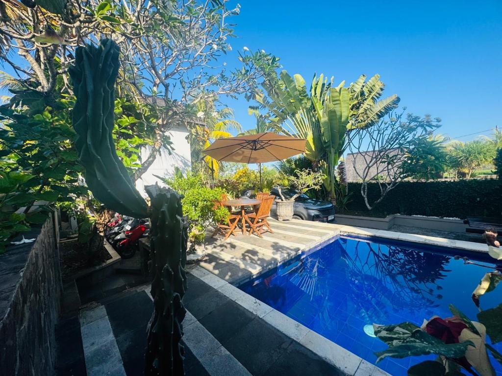 a pool with a table and an umbrella and a cactus at Sunsets at Sumbul in Pulukan