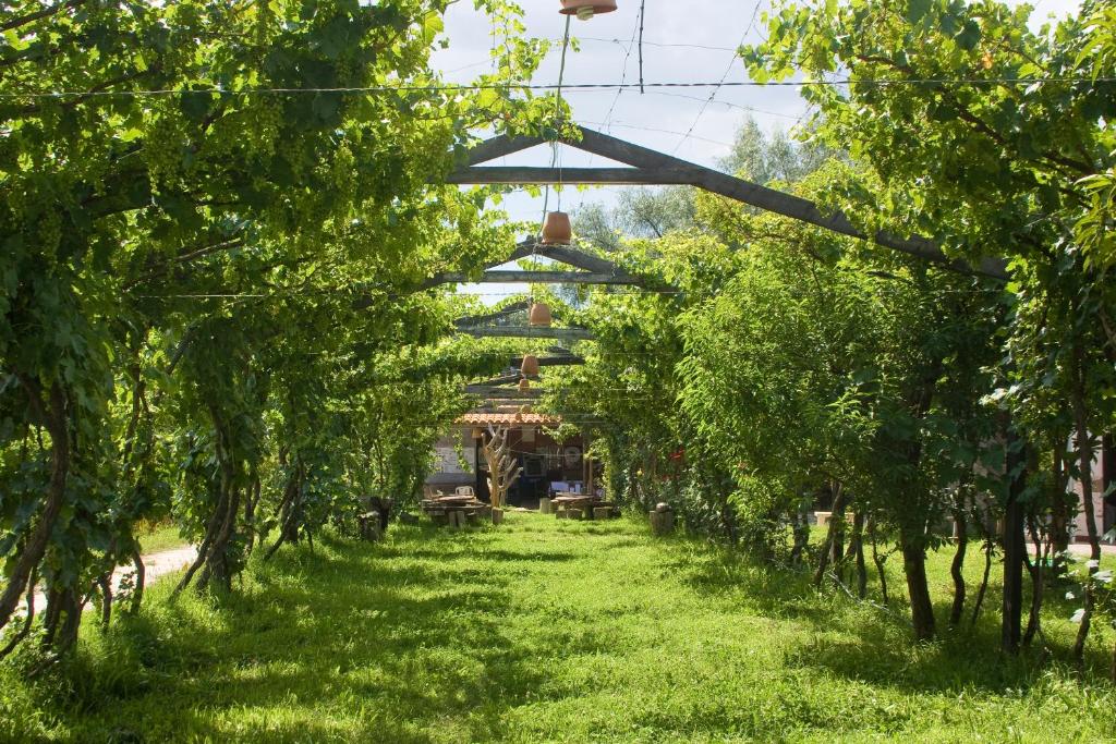 a path through a garden with a canopy of trees at Hostería - Bodega Valle Divino in Uriondo