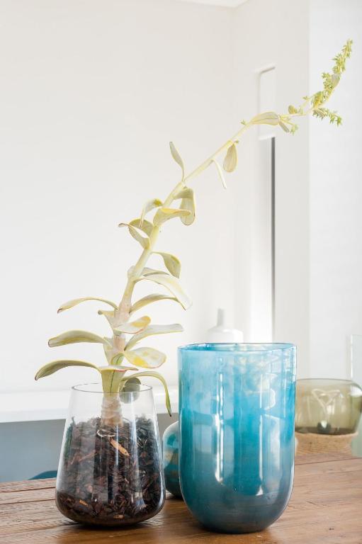 two vases sitting on a table with a plant in them at Cozy Bondi Apartment Heated Winter Stay in Sydney